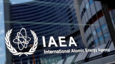 Nouvelles tendances dans la structure énergétique de nombreux pays.