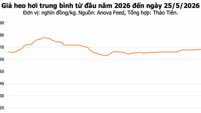 Ceny wieprzowiny dzisiaj, 25 maja: Rynek pozostaje stabilny, a najwyższa cena osiągnęła 70 000 VND/kg.