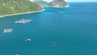 Khanh Hoa está logrando avances tecnológicos con el objetivo de convertirse en un moderno centro de acuicultura marina.