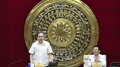 Le président de l'Assemblée nationale travaille avec le Comité permanent de l'Assemblée nationale sur la science, la technologie et l'environnement.