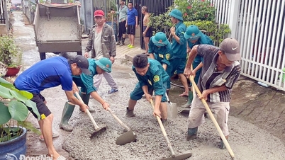 Jovens do Comando Militar da Cidade de Dong Nai participam da campanha "Domingo Verde".