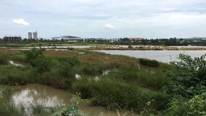 Mais de 2.000 hectares de terra foram retirados da lista piloto para desenvolvimento de habitações comerciais.