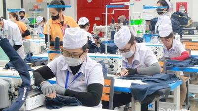 Dong Nai város megalapításának megünneplésére irányuló produkciós emulációs kampány.