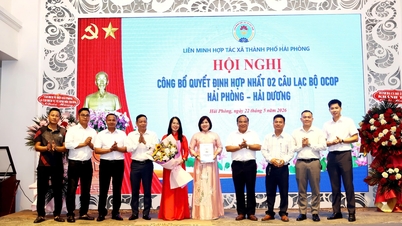 ປັບປຸງ ແລະ ເສີມສ້າງສະໂມສອນ OCOP ຫາຍຟອງ.