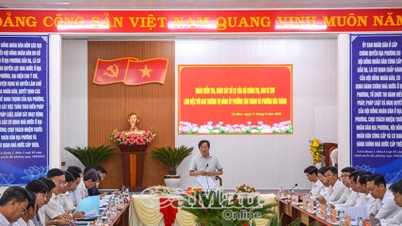 Indagine sul funzionamento del governo locale a Tan Thanh e Hoa Thanh