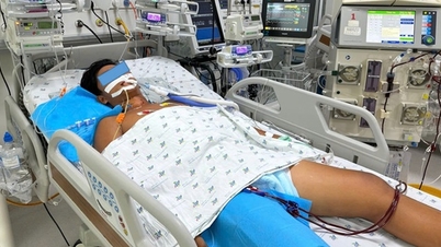 Playing soccer in the hot sun, a young boy suffered heatstroke, developing complications including muscle wasting and multiple organ failure.