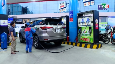 Le biocarburant E10 a été bien accueilli par le public.