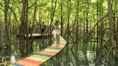 La Cambogia è molto apprezzata per il suo ambiente naturale.