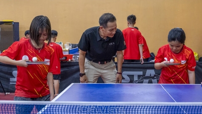 Tennistavolo a Ca Mau: gettare le basi, puntare alla vetta.