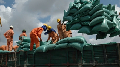 Le Département des importations et des exportations a publié le document n° 500 concernant l'ordonnance chinoise 280.