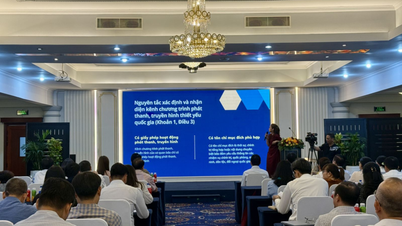 ការលុបបំបាត់ឧបសគ្គចំពោះយន្តការសម្រាប់ផលិតកម្មវិធីវិទ្យុ និងទូរទស្សន៍។