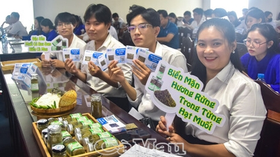 Ca Mau ha 13 idee in lizza per la fase finale di INNOBE 2026.
