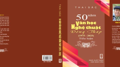 Retrospekcja 50 lat literatury i sztuki w Dong Thap w kontekście nurtu kulturowego.