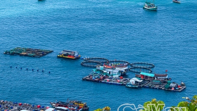 Hòn Chuối: Màu xanh của niềm tin bám biển
