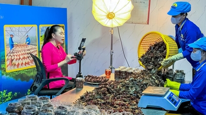 Dijital dönüşüm: Ca Mau'da tarım ve su ürünlerinin değerini artırmak.