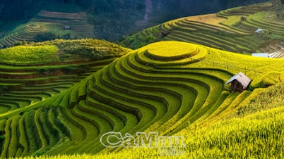 Le più belle risaie a terrazze immerse nelle vaste foreste del Vietnam nord-occidentale.