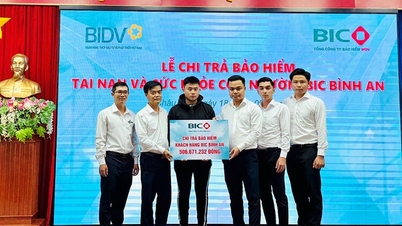 A BIDV Biztosító Társaság több mint 500 millió VND biztosítási összeget fizet ki egy An Giangban élő ügyfélnek.