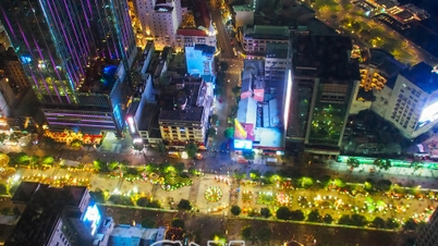 Ammirando la via dei fiori di Nguyen Hue di notte durante l'Anno del Serpente (2015).