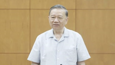 Setiausaha Agung merangkap Presiden To Lam mempengerusikan mesyuarat mengenai penyelidikan saintifik asas.