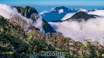 "Corna di bufalo" del Vietnam nord-occidentale