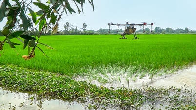 Công nghệ số, giúp nông nghiệp thêm xanh