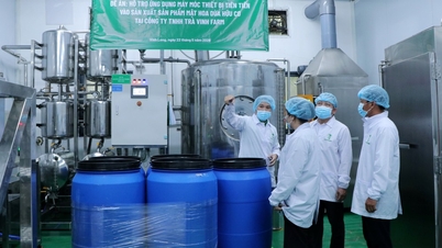 Nghiệm thu đề án hỗ trợ ứng dụng máy móc thiết bị tiên tiến trong sản xuất tại xã Tiểu Cần và Nhị Long