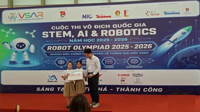 Học sinh Cần Thơ đoạt giải thưởng cao tại cuộc thi Vô địch Quốc gia STEM, AI và Robotics