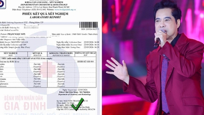 Before taking a drug test, what was singer Ngoc Son's life like in his middle age?
