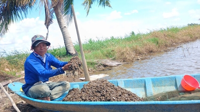 ນຳໃຊ້ຮກຄວາຍເພື່ອລ້ຽງກຸ້ງ ແລະ ປູ.