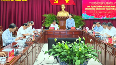 Can Tho városának hamarosan létre kellene hoznia egy központot, amely a Mekong-delta régió mezőgazdasági termékeinek összekapcsolására, feldolgozására és exportjára szolgál.
