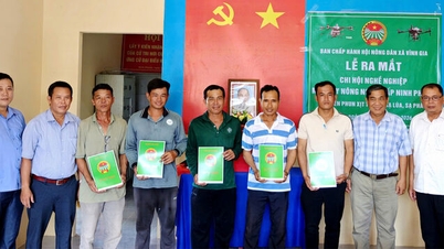 Il comune di Vinh Gia lancia l'Associazione professionale degli aeromobili agricoli nella frazione di Ninh Phuoc.