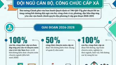 [INFOGRAPHIE] Projet de renforcement de la formation des responsables communaux et des fonctionnaires