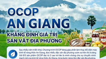 [រូបភាព​ក្រាហ្វិក] OCOP អានយ៉ាង៖ បញ្ជាក់ពីតម្លៃនៃផលិតផលក្នុងស្រុក