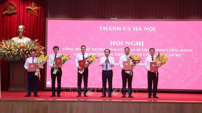 The Hanoi City Party Committee announces decisions on personnel matters.