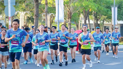 Momenti salienti della Maratona VnExpress di Can Tho 2026