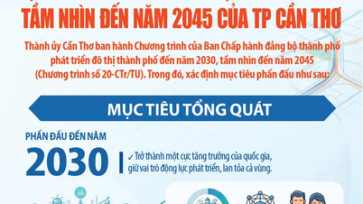 Obiettivi di sviluppo urbano per la città di Can Tho entro il 2030, con una visione al 2045.