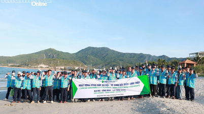 HD Hyundai Vietnam Shipbuilding Company Limited menyelenggarakan kegiatan bersih-bersih pantai di Ninh Thuy.