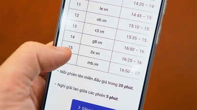 На аукционе будут выставлены 77 редких доменных имен.