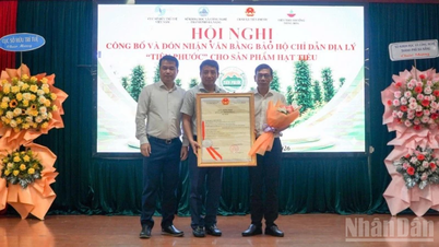 Đà Nẵng: Đón nhận văn bằng bảo hộ chỉ dẫn địa lý "Tiên Phước" cho sản phẩm hạt tiêu