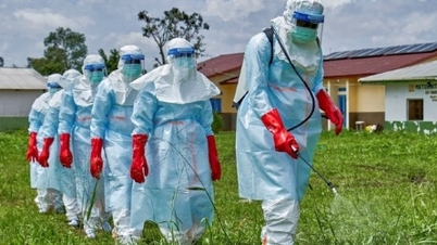 Bộ Y tế chỉ đạo khẩn ứng phó Ebola, yêu cầu bệnh viện sẵn sàng cách ly