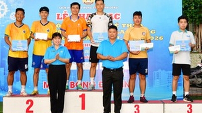 ការប្រកួតជម្រុះនៃពិធីបុណ្យកីឡាកម្មករ-និយោជិតនៅតំបន់ត្រាវិញបានបញ្ចប់។