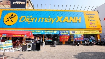 ບໍລິສັດ Dien May Xanh ໄດ້ຮັບການອະນຸມັດໃຫ້ສະເໜີຂາຍຮຸ້ນຫຼາຍກວ່າ 179.5 ລ້ານຮຸ້ນໃນລາຄາທີ່ໜ້າສົນໃຈ.