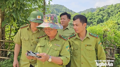 Nghe An-provinsen intensifierar tillämpningen av digital teknik inom skogsförvaltning samt brandförebyggande och -kontroll.