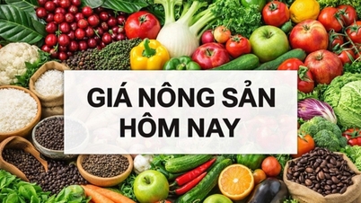 តម្លៃទំនិញកសិកម្មថ្ងៃនេះ ថ្ងៃទី ២៥ ខែឧសភា ឆ្នាំ ២០២៦៖ តម្លៃកាហ្វេក្នុងស្រុកកើនឡើងសម្រាប់សប្តាហ៍ទីបីជាប់ៗគ្នា ការទិញទំនិញការពារកាន់តែខ្លាំងឡើង។ ការរំពឹងទុកថ្មីសម្រាប់ការបញ្ចប់ជម្លោះនៅមជ្ឈិមបូព៌ា។