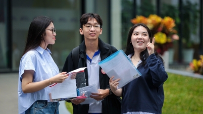 15 types de réalisations et de récompenses permettant d'obtenir des points à l'Université des Sciences de Hô Chi Minh-Ville.