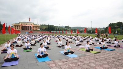 국제 요가의 날 기념 행사 주요 내용