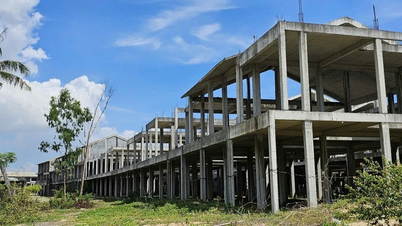 Da Nang: 350 projek perlu diselesaikan dan Dien Ban Dong ialah "tempat yang popular".
