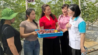 Обмін досвідом підтримки жіночого підприємництва в північно-західних провінціях.