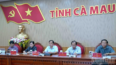 Cà Mau nâng cao năng lực xử lý tình huống cho cán bộ cơ sở trong thời số