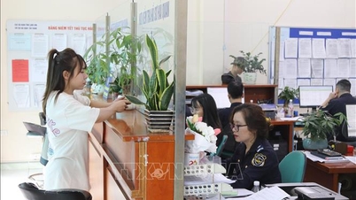 Kementerian Perindustrian dan Perdagangan telah menyelaraskan pelbagai prosedur merentasi lapan bidang pengurusan.